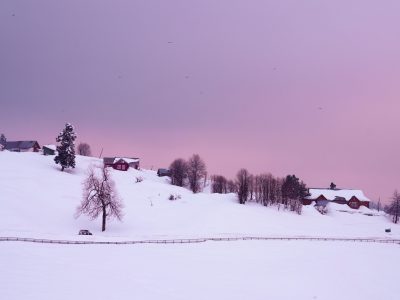 pexels-imadclicks-6780256